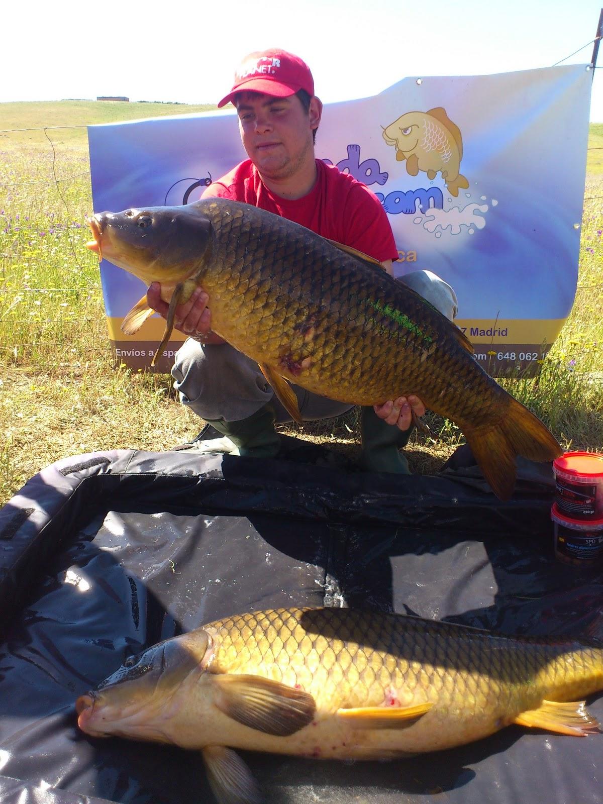 SNZ PLANET SPAIN MAI 2013